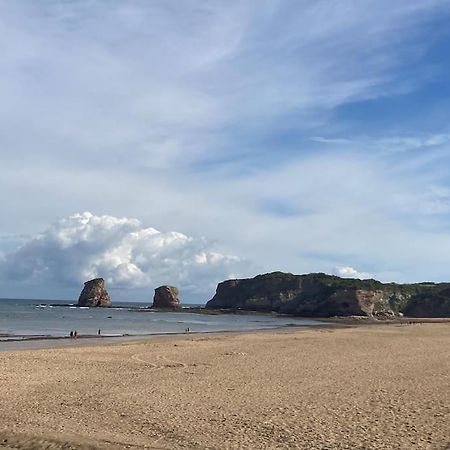 Hendaye Plage Charmant Studio 2Pers Avec Grande Terrasse Vue Mer Eksteriør billede